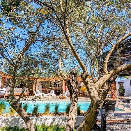 Oliva Jacuzzi Sauna Billard Piscine Chauffee Langlade